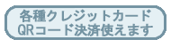 各種クレジットカード・QRコード決済使えます